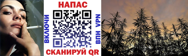 Шишки марихуана марихуана Вязники